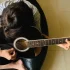 5 Meilleures Guitares Èlectriques Fender – Guide et Classement