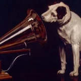 Gramophone : guide d’achat de ce joyau vintage
